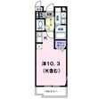 ルミナス コート Fの間取図