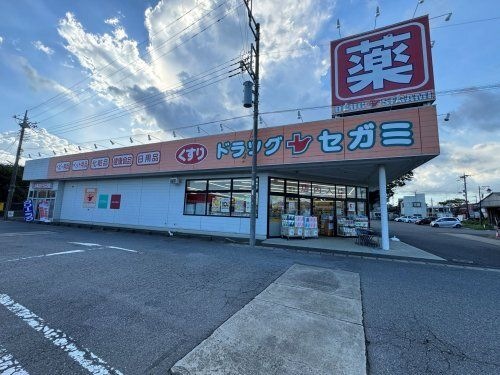 ドラッグセガミ 八街店