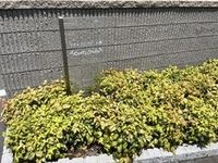 外観パース