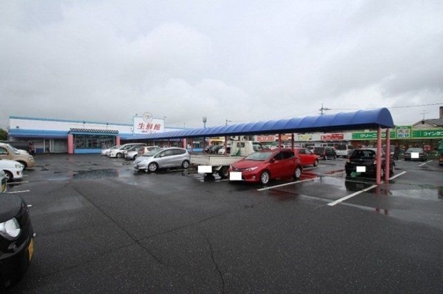 わたなべ生鮮館　泉田店