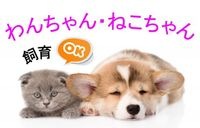 小型犬or猫どちらか1匹飼育OK!