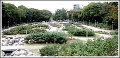 靭公園