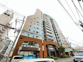 ハウスユマニテ大橋α館の外観