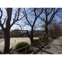 展望