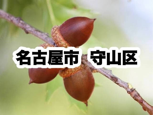 守山区役所|名古屋市守山区