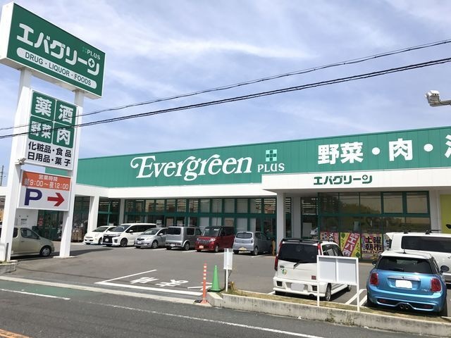 写真：エバグリーンプラス和泉芦部店