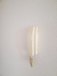 内観