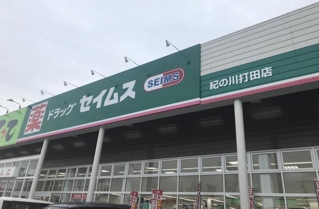ドラッグセイムス紀の川打田店