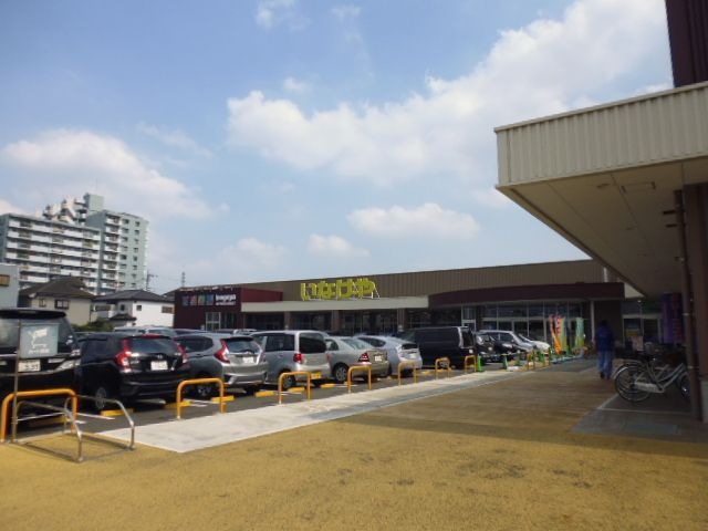 いなげや 小平小川橋店