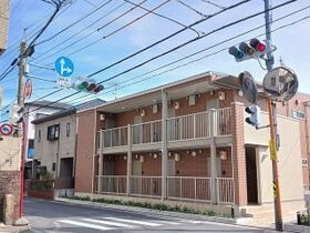メインクーンの外観