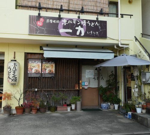 ホルモン焼きうどん 一力