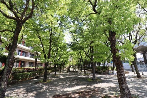 大物川緑地 歴史の散歩道