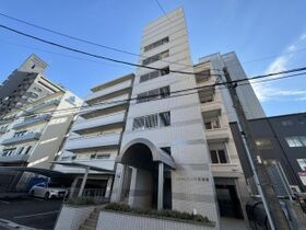 シャトーサンライズ観音の外観