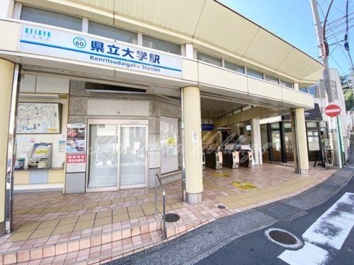 県立大学