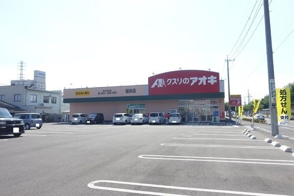 クスリのアオキ 堀米店