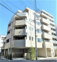 モンステラの外観