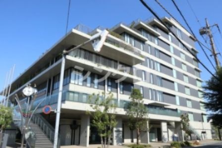 写真：川口市役所