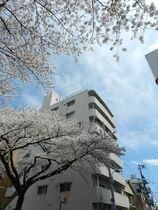 小石川播磨坂ハイツの外観