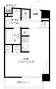 日神デュオステージ小石川の間取図