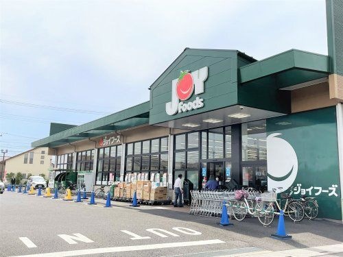 ジョイフーズ 杉戸高野台店