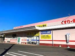 写真：スーパードラッグひまわり川北店