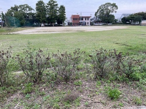 北部中央公園