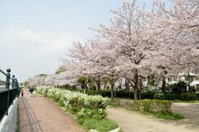 写真：蓬川緑地