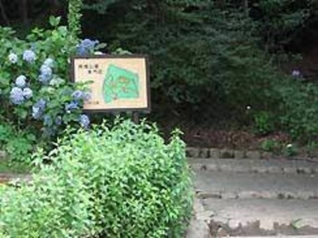 両畑公園
