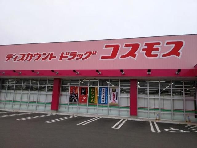 ディスカウントドラッグコスモス長洲本通店