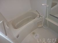 バス