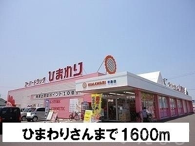 ひまわり