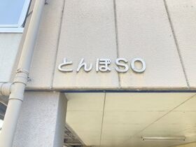 とんぼSOの外観