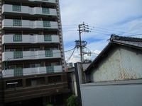 展望