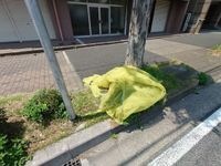 敷地内ごみ置き場
