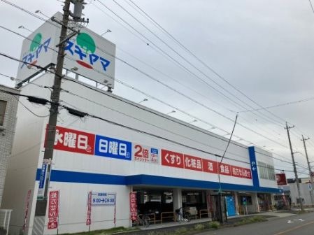 ドラッグスギヤマ 平子店