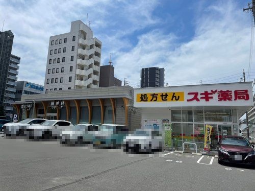 写真:スギ薬局 清水口調剤店