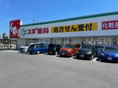 スギ薬局 太平通店