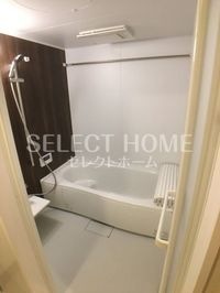 同型タイプ