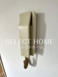 同型タイプ