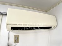同型タイプ