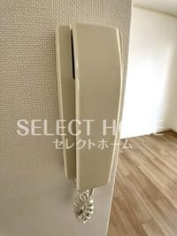 同型タイプ