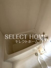 同型タイプ