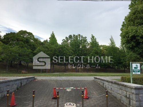 戸崎公園