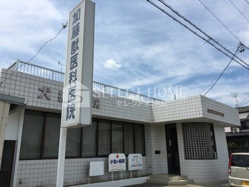 加藤獣医科医院