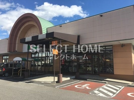 ドミー 幸田店