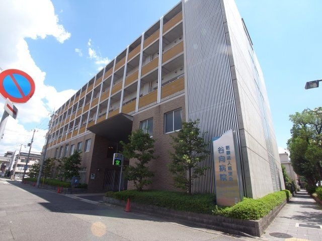 谷向病院