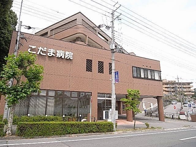 こだま病院