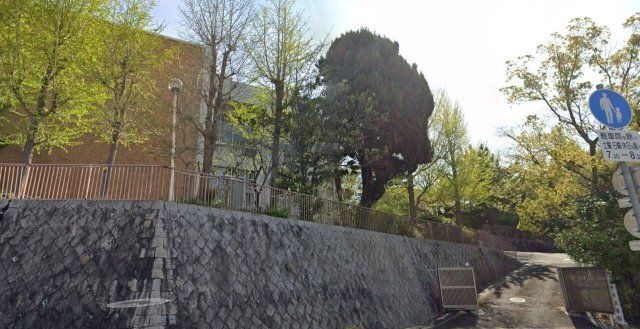 頌栄短期大学