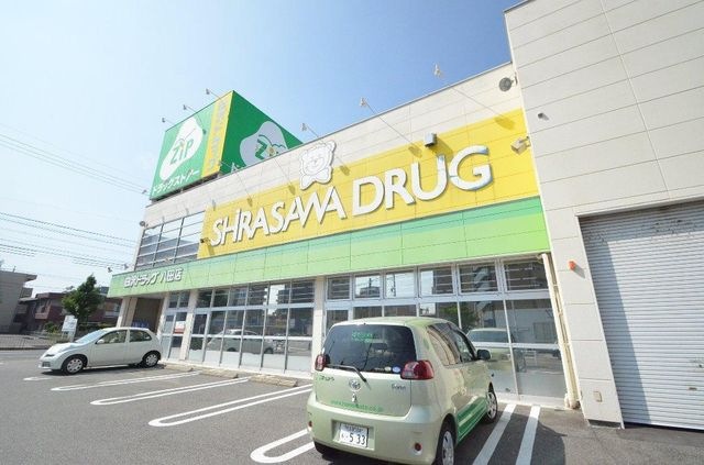 Zipドラッグ白沢八田