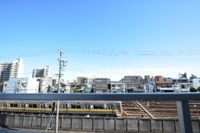 展望